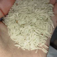 برنج ممتاز ایرانی و پسته|خوردنی و آشامیدنی|مشهد, ولیعصر (شهرک غرب)|دیوار