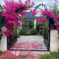 خونه باغ تو دلی شهرکی/همونی که عاشقش میشی