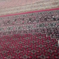 فرش ماسی درهم 12متری و 9 متری|فرش|دیواندره, |دیوار
