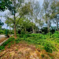 فروش-زمین-1600-متری-در-شهرک-برند-فردوس