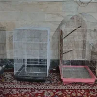 قفس