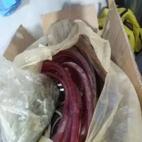 سیم های رنگی شلنگی