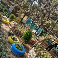 کارگر باغبان آقا