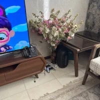 گل خارجی|گل مصنوعی|گلستان (تهران), |دیوار