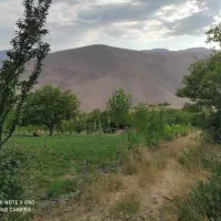3قطعه باغ در  اسکستان بفروش میرسدمعاوضه باواحدکوچک|فروش زمین و ملک کلنگی|خلخال, |دیوار