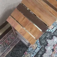 فروش قفس و ۲ عدد عروس لوتینو
