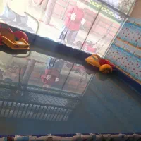 استخر خانگی .خانه بازی به همراه دوعدد  قایق