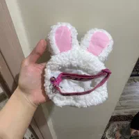 ملزومات گربه|گربه|ارومیه, |دیوار