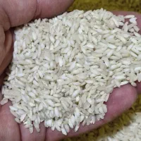 برنج عنبربو|خوردنی و آشامیدنی|کوهدشت, |دیوار