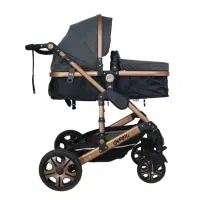 ست کالسکه و کریر اسپرینگ مدل اسپیدا بدنه برنز