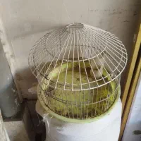 لوازم منزل قفس تی لاستک حراج فلاکس باطری