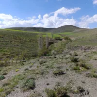 فروش باغ در روستای چپقلو
