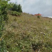 فروش زمین درروستای گرزنچاک مجاورداماش|فروش زمین و ملک کلنگی|جیرنده, |دیوار