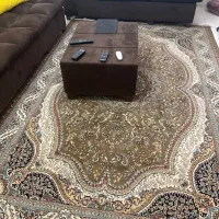 فرش ۶ متری خوش نقش و نگار