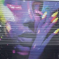 ۶ عدد پرده زبرا نو