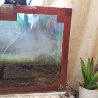 اکواریوم با وسایل ویه ماهی اسکار