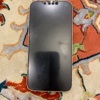 iphone 13 normal|موبایل|تهران, فردوس|دیوار