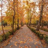 پاییز