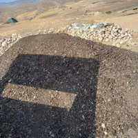 فروش کود حیوانی