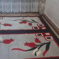 یک جفت فرش سالم اشپزخونه یااتاق