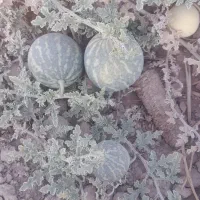 هندوانه ابوجهل|خوردنی و آشامیدنی|ارزوئیه, |دیوار