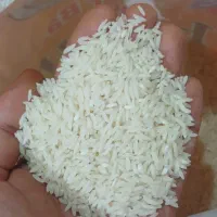 برنج طارم ایرانی