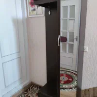 جاکفشی دارای آیینه قدی|جاکفشی، کمد، دراور|زنجان, |دیوار