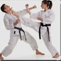 آموزش حرفه ای کیوکوشین کاراته  بانوان در گلبهار