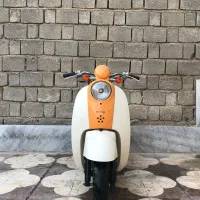 پاکشتی اسکوپی همه قیمت