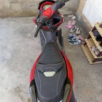 سگ نیه|حیوانات|سنندج, |دیوار