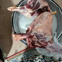 گوشت گوسفندی