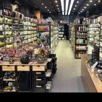 فروشنده خانم/ کارگر ساده