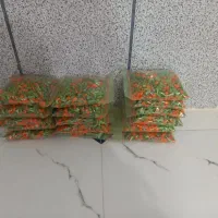 خدمات نظافت منزل خانم باتجربه و ماهر