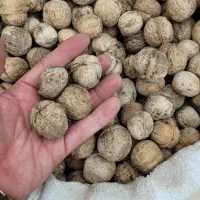 پخش شیره سیاه و سفید و انواع خشکبار|عمدهفروشی|ملایر, |دیوار