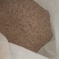 گندم برای حیوون وپرنده