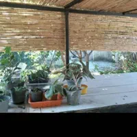 اجاره روزانه سوییت باحیاط والاچیق|اجارهٔ کوتاهمدت آپارتمان و سوئیت|چالوس, |دیوار