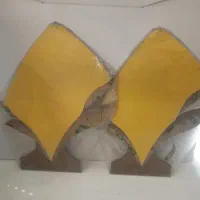 تعدادی قاب عکس