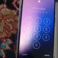 مبایل آیفون 16پرومکسLA همه عکس هارو گذاشتم|موبایل|تهران, شهرک پاسداران|دیوار