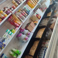 واگذاری مغازه لبنیاتی|فروشگاه و مغازه|مرودشت, مختارآباد|دیوار