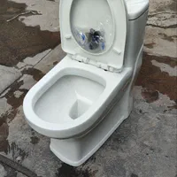 توالت فرنگی دو زمانه آرام بند|لوازم سرویس بهداشتی|تهران, افسریه جنوبی|دیوار