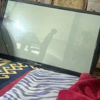 ای سی دی۴۹ اینچ