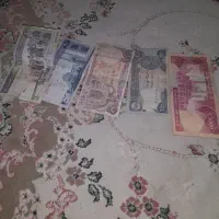 همه     مدل   لوازم   فروشی    هس