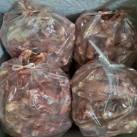 اسکلت و گردن تازه زیر قیمت|خوردنی و آشامیدنی|مسجد سلیمان, |دیوار