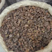 پخش کشمش مرکزی مهرشهر اق تپه|خوردنی و آشامیدنی|کرج, احدآباد|دیوار