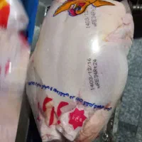 استخدام کارگر ساده بابیمه