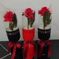 بوکت رز ماندگار لاکچری هدیه خاص روز زن روز مادر