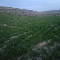12-000-متر-زمین-کشاورزی-آبی-باسند-برجاده-اصلی