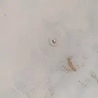 یک عدد آنتن مر کزی به فروش می رسد