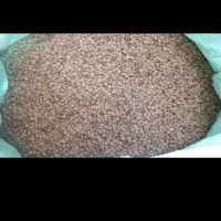 حبوبات خشکبار|خوردنی و آشامیدنی|فشاپویه, |دیوار