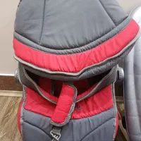 کریر و روروئک دلیجان|کالسکه و لوازم جانبی|ممقان, |دیوار